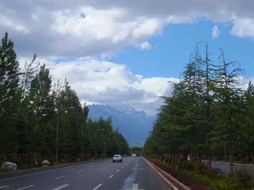 9月1日起云南道路旅客运输站经营多项费用取消，惠民新政全面解读